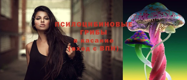 spice Алексеевка