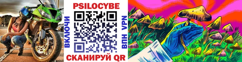 Псилоцибиновые грибы Magic Shrooms  сколько стоит  ссылка на мегу ТОР  Королёв 